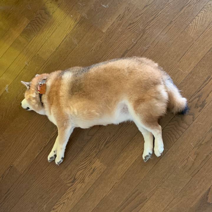 94f80439 1b89 4237 9361 3002036f2d7c 1599276356437