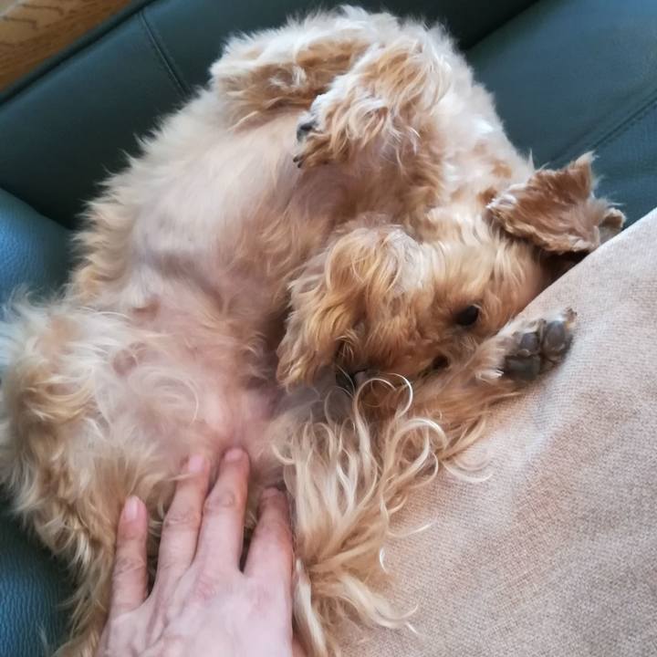 94f81e11 c7be 4d6c ac02 b3ac939e20a4 1569035937862