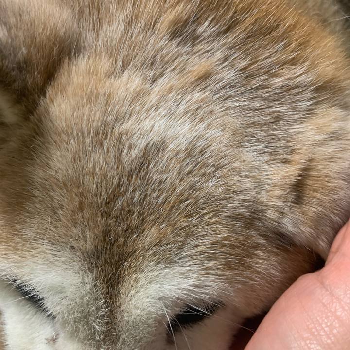 94f820cb db68 45db 8818 7ab4bc7ce4cd 1672656984143