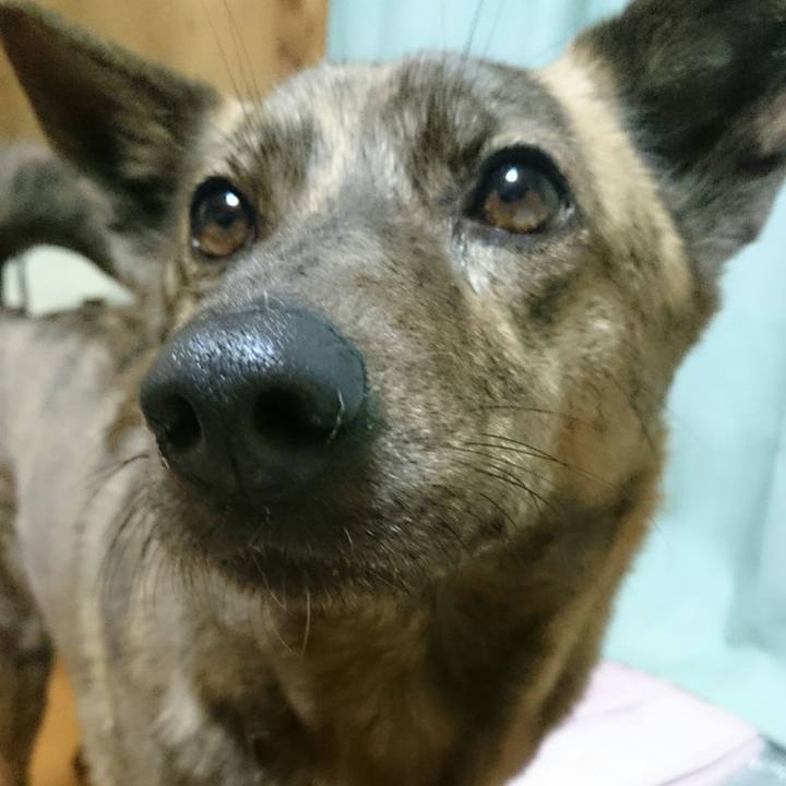 94f84bac d8f5 417d b121 15b4837727c7 1518086554512