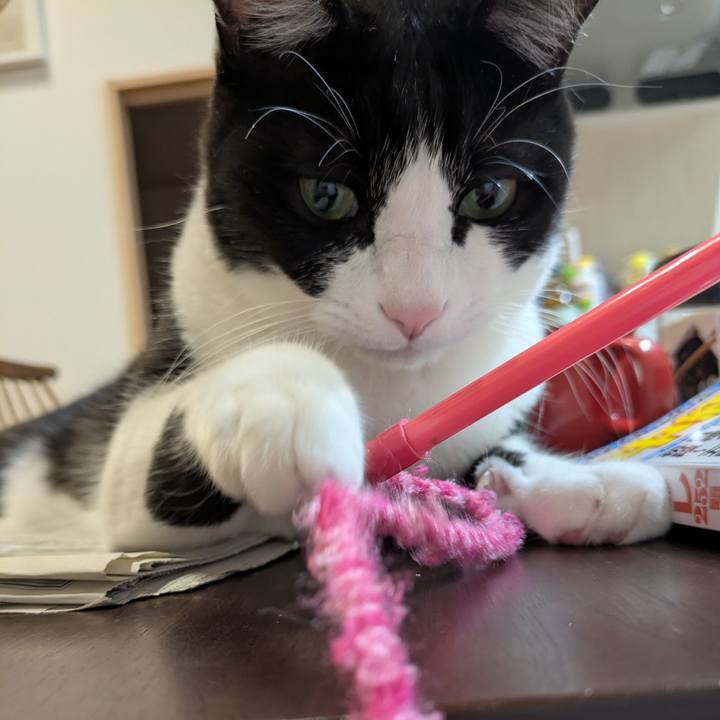 94f86c8e a9f0 4025 965a 594d3cc304ab 1758363470630