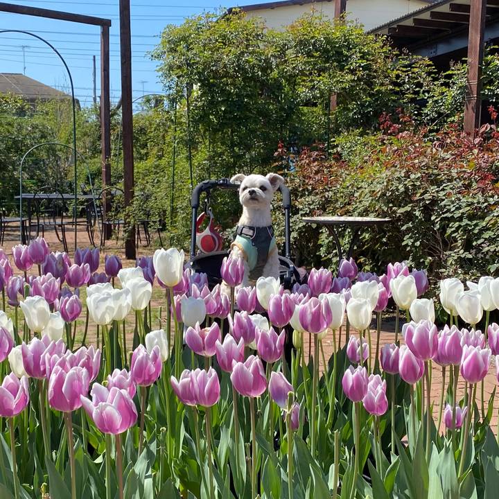 94f880d3 6dd9 40ef 8454 fb550abd6fc0 1618056013116