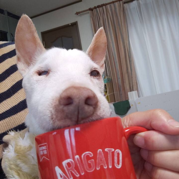 94f91a64 eb90 4447 8b00 bb004c642490 1604877217765