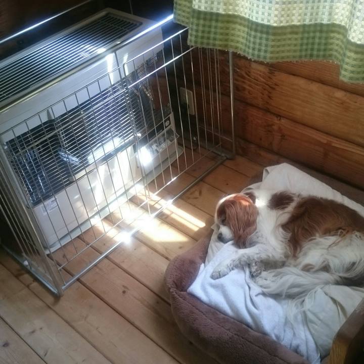 94f95c4d e282 47fa b003 bebe1fba7ccd 1557640397404