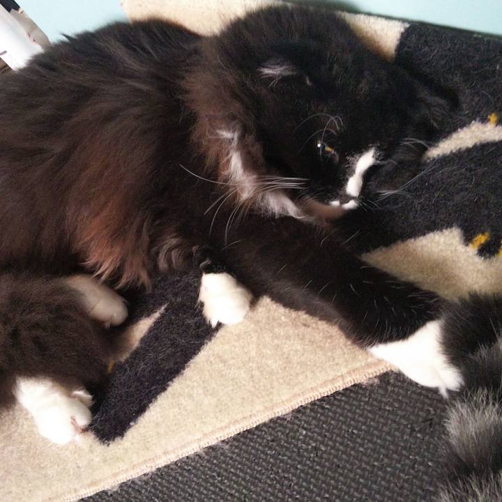 94f96640 98d3 480d ad4d 53e60035925a 1658470572476