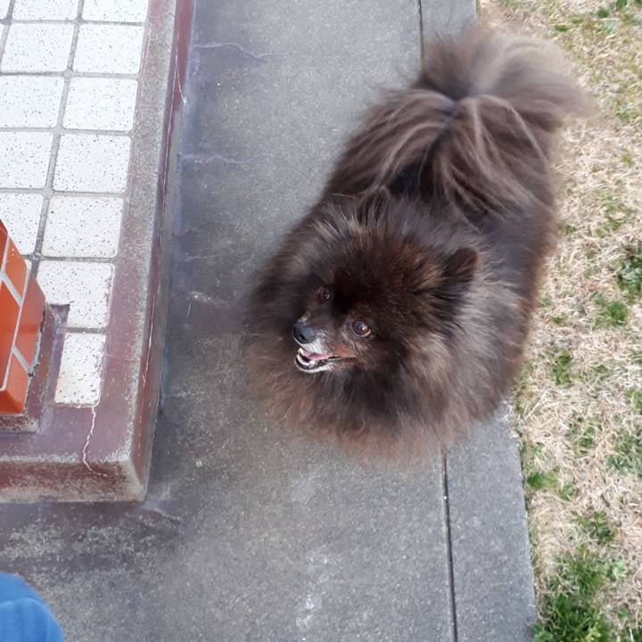 94f96ed3 1f25 415a 964f 1486938d3fa9 1519722159142