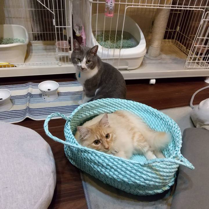 94f98c81 4981 4c72 9945 d75dbf3c50bb 1649509899489