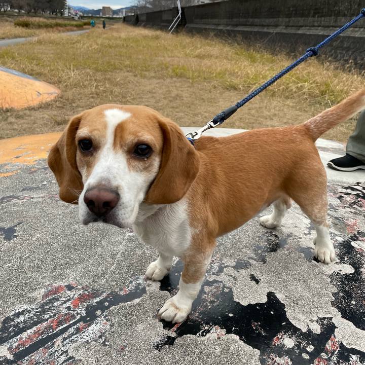 94f9a3db ad31 4bcc 9d6f 2d1b0a9257c4 1673951172869