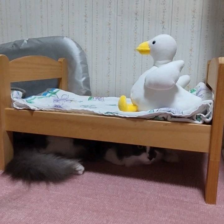 94f9ad70 46b5 436f b8f7 fa0ba4268b31 1732605120885