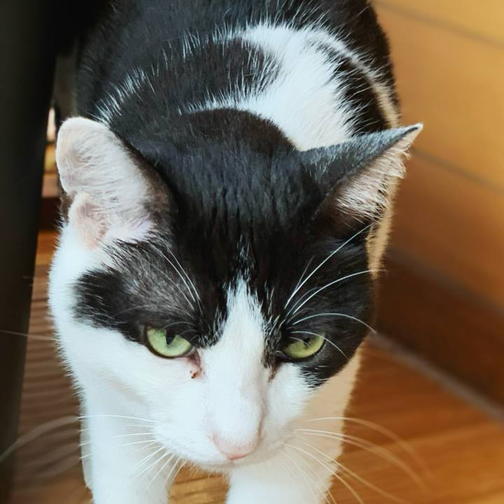 94f9bfc6 45db 4d29 99e6 c0f6a5a259b1 1598665401700