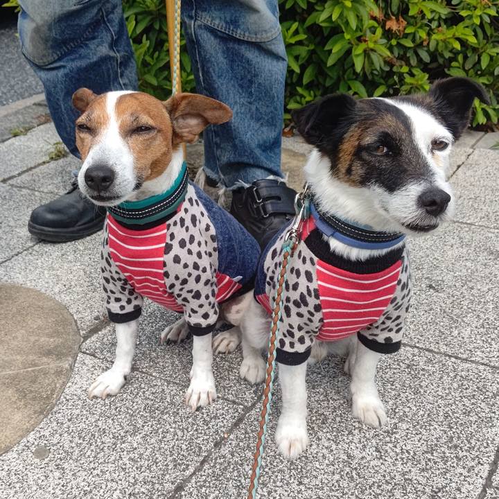 94f9c981 4581 48a7 8f5f 94e42f4778b9 1716596008453