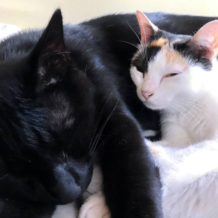 94fa07b5 36a6 44ae bc42 aa1be3c37ef5 1508127637154