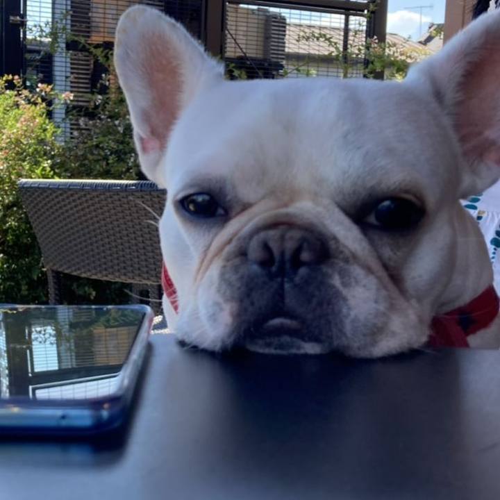 94fa0ab6 24f8 4cdb a072 cc5ec86a432b 1648594577111