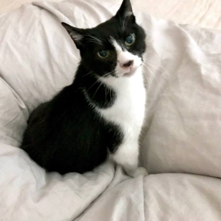 94fa1376 8f93 43f5 a65a a944c8666a4d 1592199361500