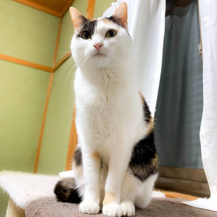 94fa3972 b6a1 464e 898f fe825385ba13 1581644339451