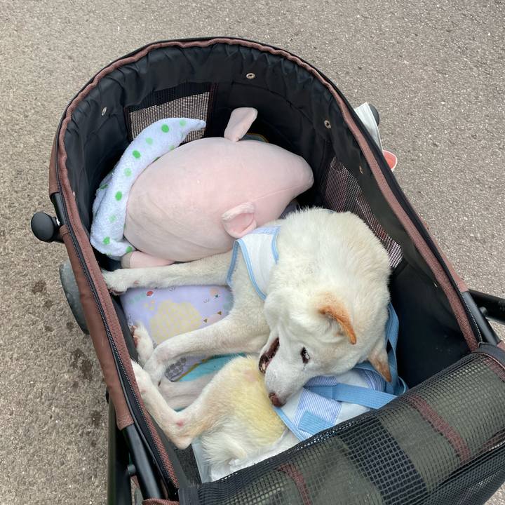 94fa49de 1173 437b a181 5f58ba6a3402 1663488469357