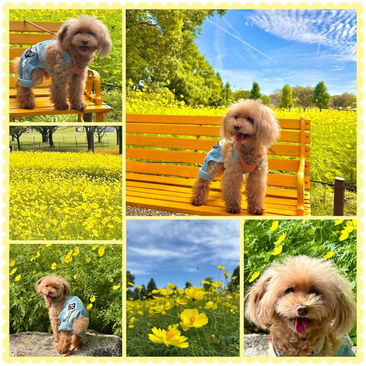 94fa573d 598c 4e8f 89b1 ed01d2639b7e 1760099258393