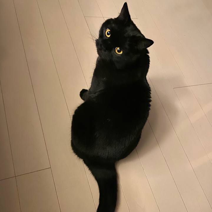 94fa5c04 ac71 4b8c 9fdd a5e8587d62f7 1642163089897