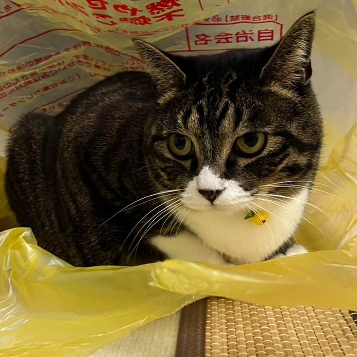 94fa5f1f 9b24 4876 82cf 0f0d1d7d9e08 1758497699904