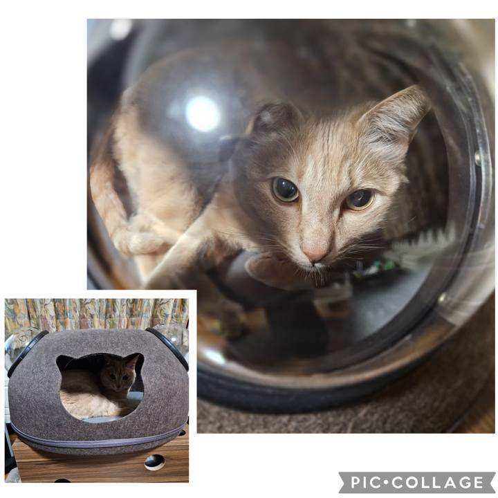 94fa613c a5b1 498f 8738 376ccce98e23 1739870306662