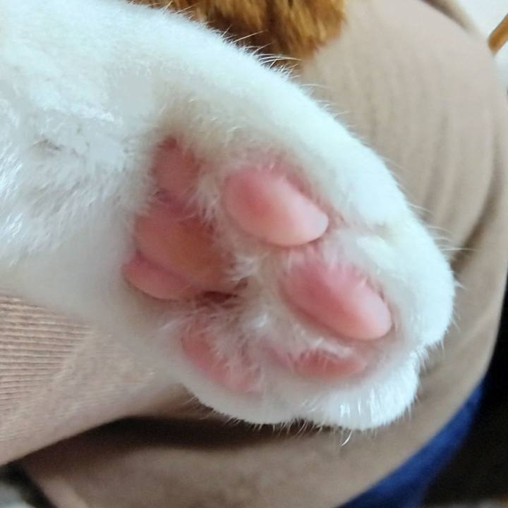 94fa63e9 a053 4385 b5ef d10216084fa1 1735863084708