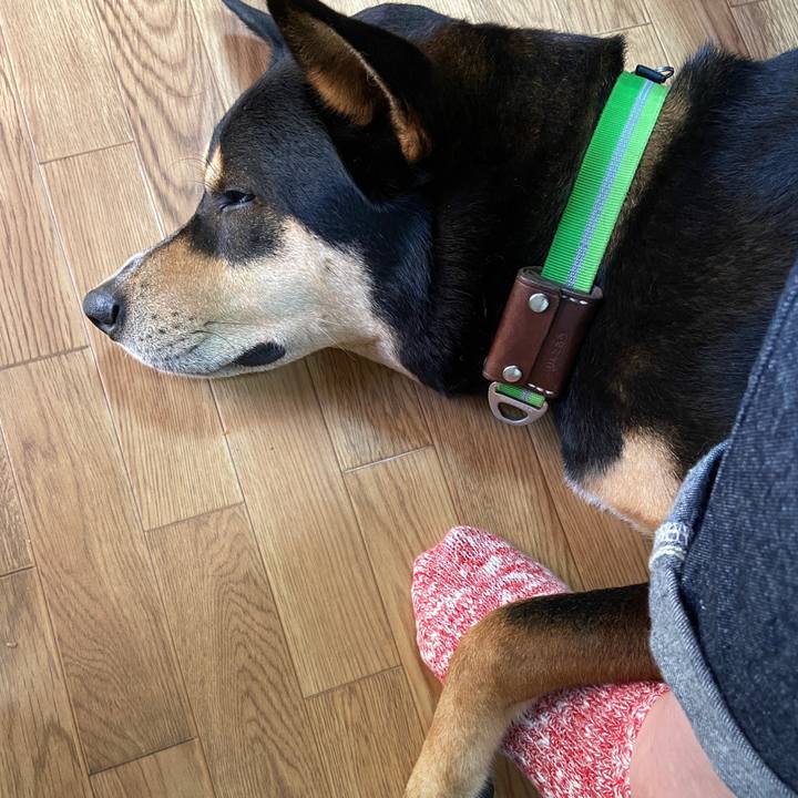 94fa7060 b18f 4a20 9afc 96caf7fe63b1 1628429309038