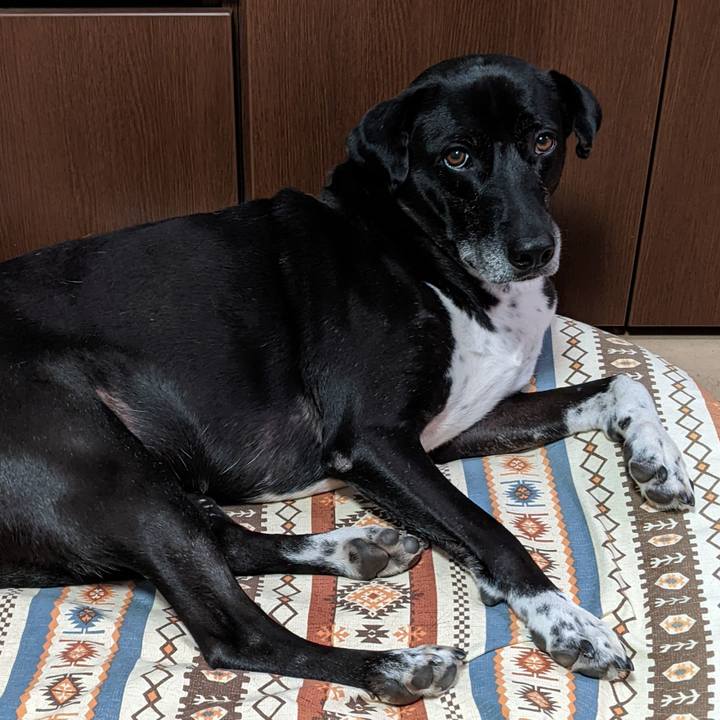 94faf0f2 5832 422e 8b06 3f5a5c371e2c 1702389375381