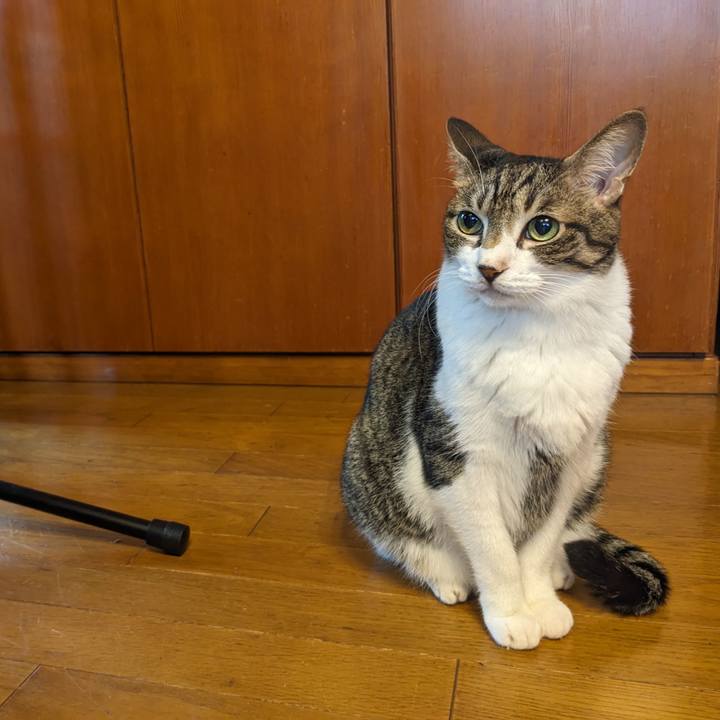 94fb131a 908c 4f27 8850 5d8b8a5e7b9f 1759189072006