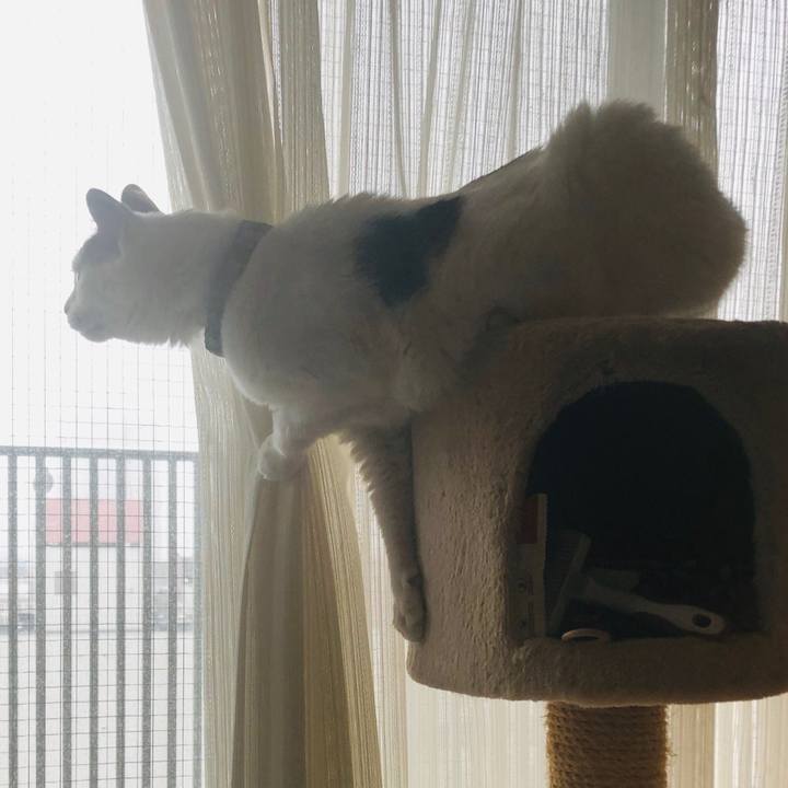 94fb5c56 92dd 4fe8 8973 56fb63a13c97 1560582006372