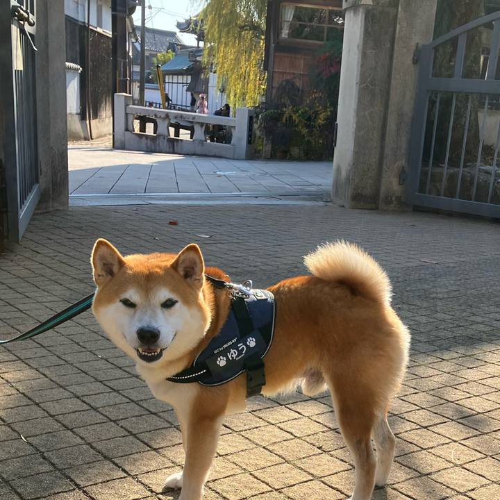 94fb6df7 6bd0 4c9e 90e7 c87ff185a4df 1764487311410