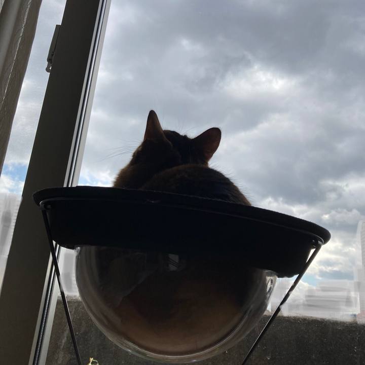 94fb8888 1bbc 4a1c 9daa 74e7b3087228 1612915498597