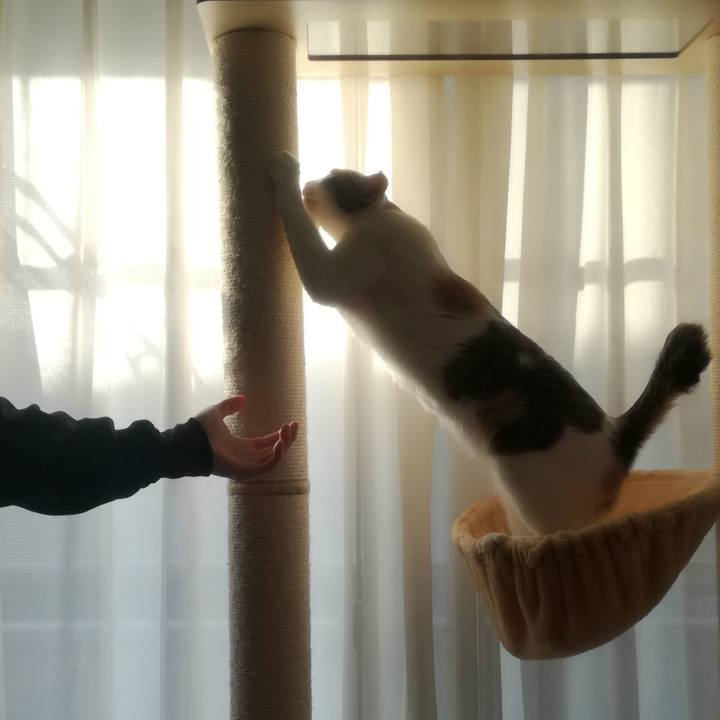 94fb8c15 51ce 4038 b3aa 4d9b2c2b9f9f 1546388146957