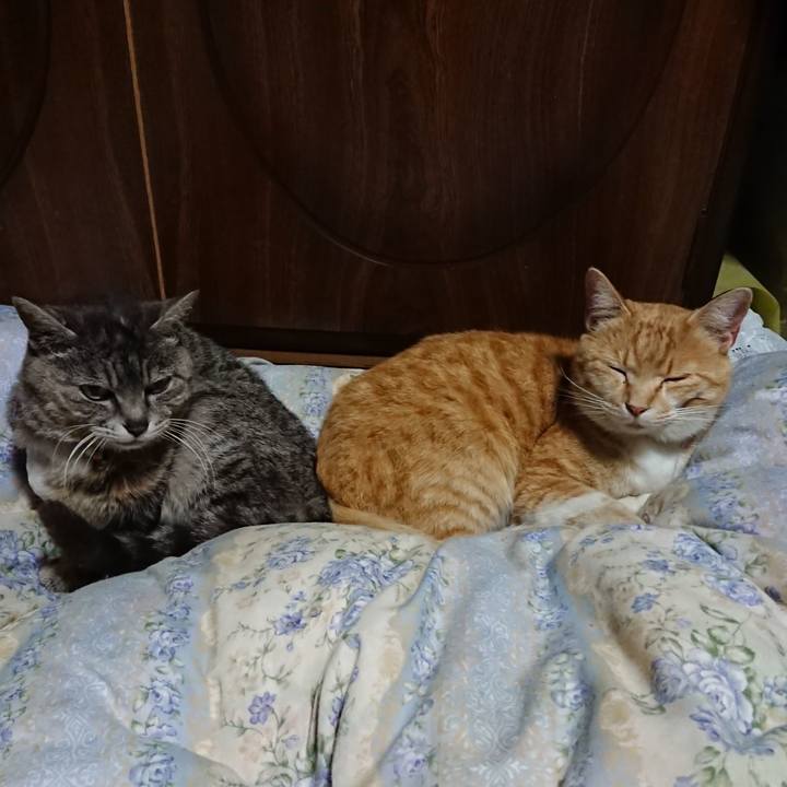 94fbefa4 17c8 44d4 b290 712df88f3444 1589027090947