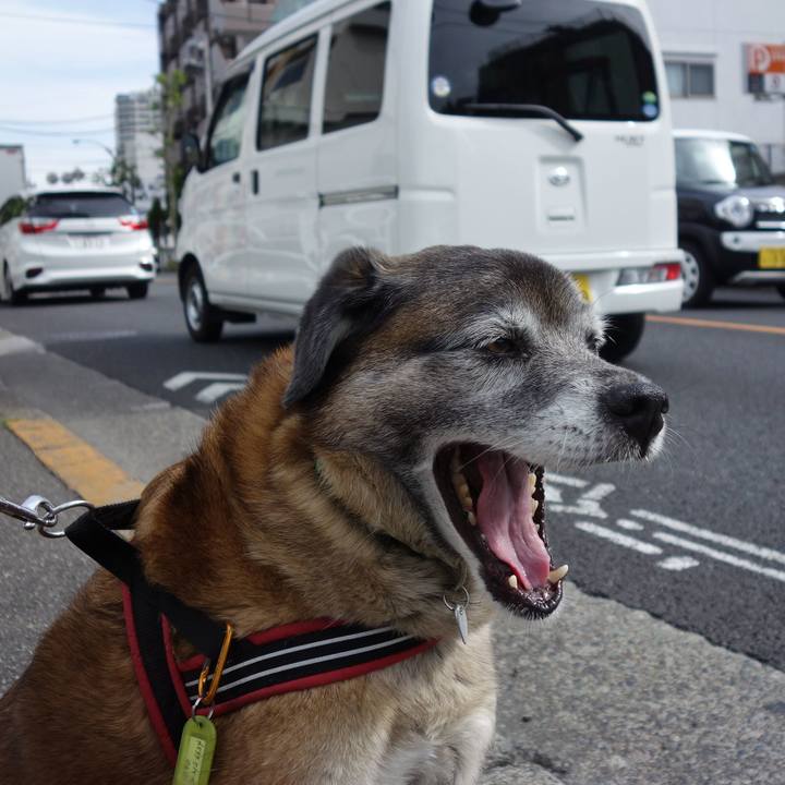 94fc4123 3936 4a4f a789 d472c438823b 1668043570192