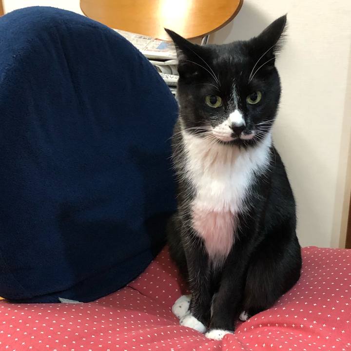 94fc45b3 bc5a 485d a6d8 7c9d79b9173d 1543376820550