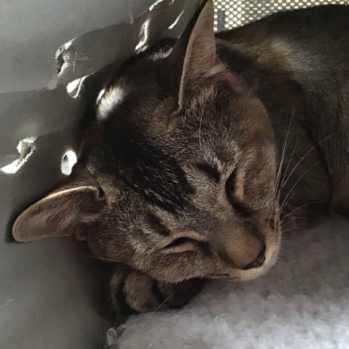 94fc60ff d7ce 4bbc 9e74 5c500e5c4de1 1593492083067