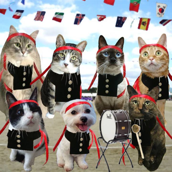 94fc6c1b 3455 4fca 8e24 da48f55f44b7 1572062390244