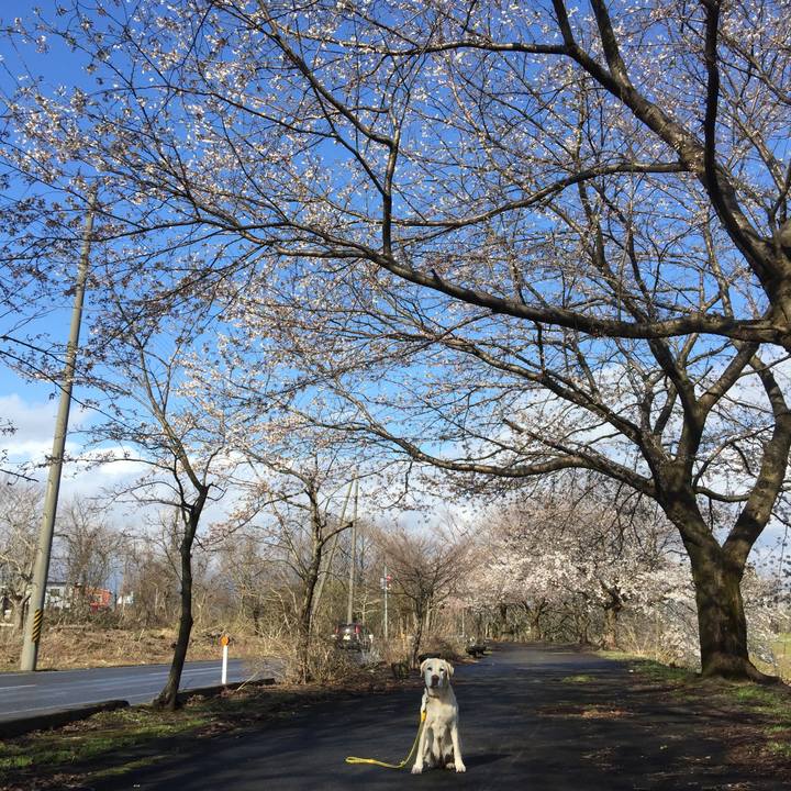 94fc7fe2 dab1 4c9b 95b4 cf7743c79250 1584512093351