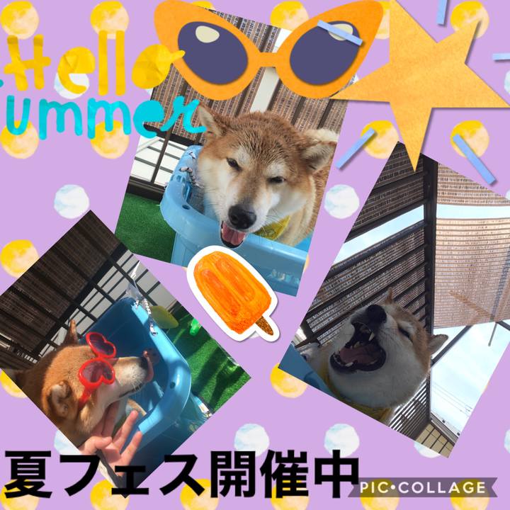 94fc9a30 5883 486e 9e94 9a6ae5eb0a26 1597298111106