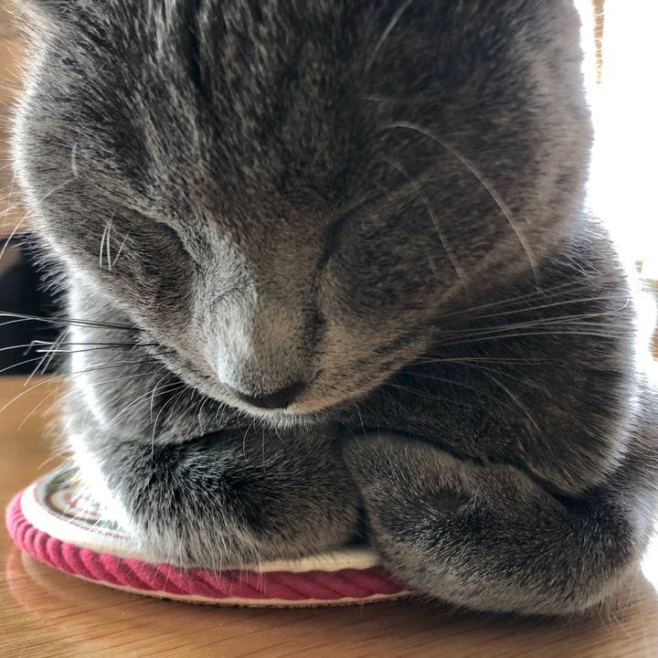 94fcc023 9c45 4a7d 817d 69593834264c 1574034780241