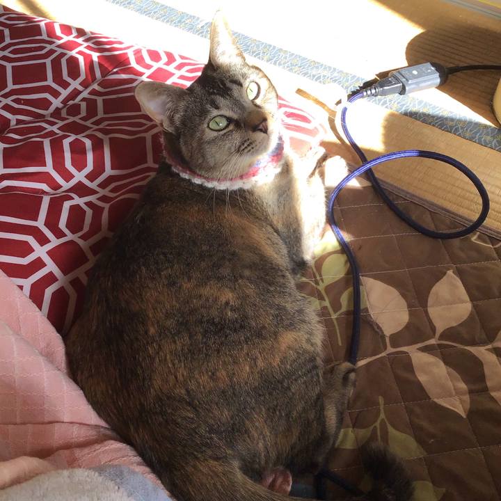 94fd0857 adbc 40af b270 75e32266b237 1617923463026