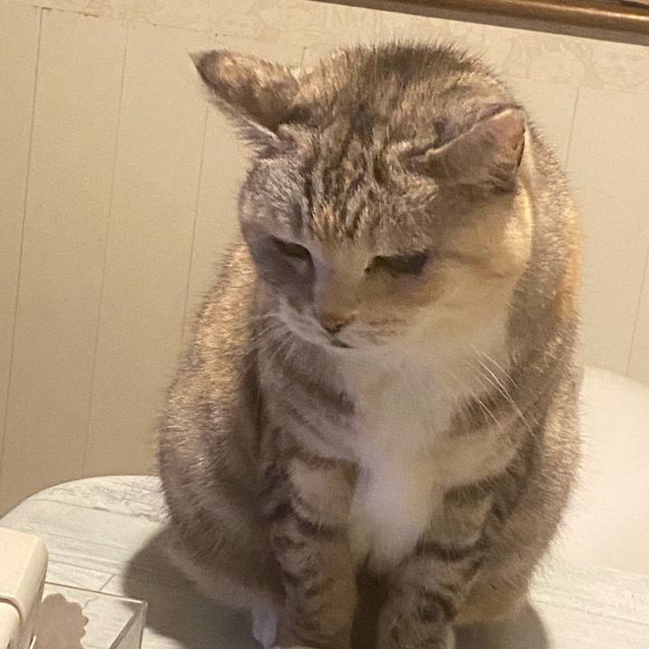 94fd15f7 9af7 46e6 b29c 61a421ba8288 1732278176744