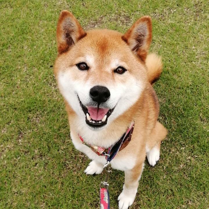 94fd604a b25f 418b b756 07f0209f8485 1621146623117