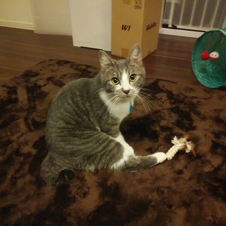 94fd7baf b626 4d41 b974 e57ab35364ba 1575295243006