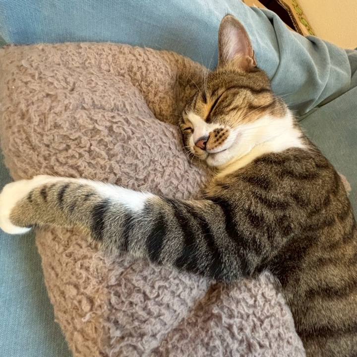 94fda31d f18f 4024 aa3b 2589c12b9e89 1764150642647