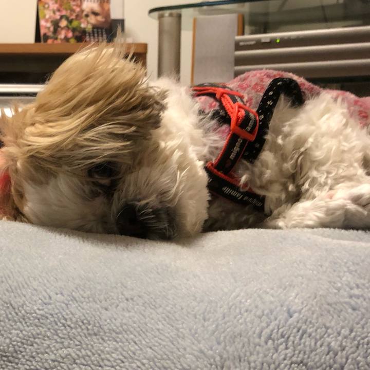 94fdc559 07ef 420e 83c1 e9ac74019a16 1556142501048