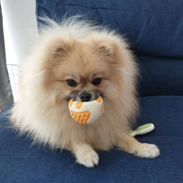 94fe067c 361e 4008 8a86 d823d02a1ae9 1644212260135