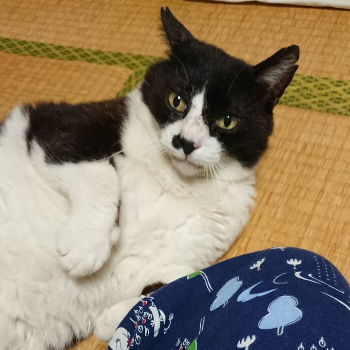 94fe1e90 5118 4440 a787 f2daa4b1e563 1564480333588