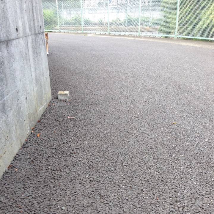 94fe279e c315 499a 8735 8503a976263d 1527127097578