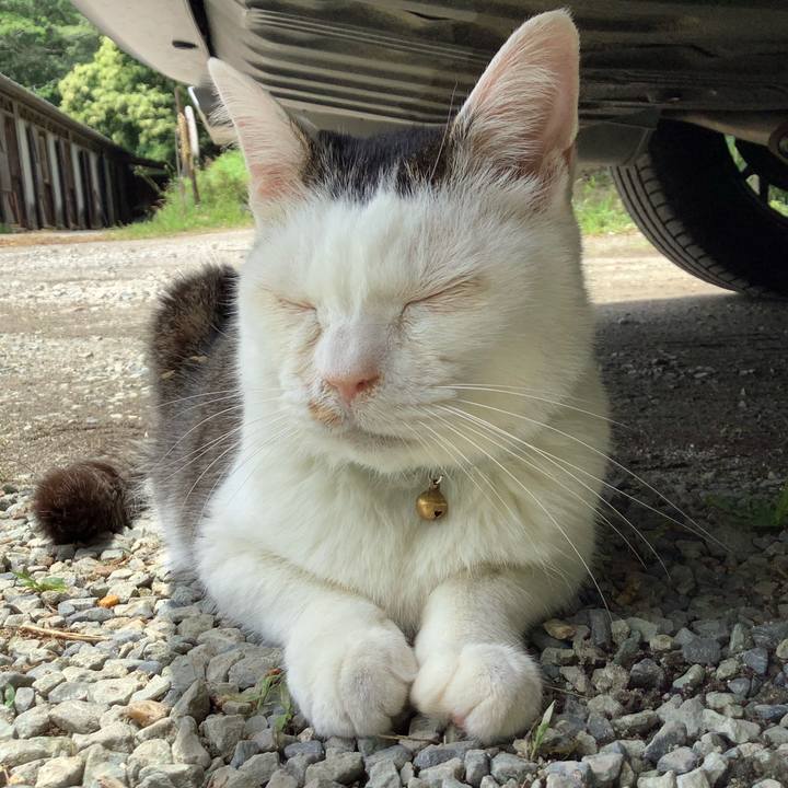 94fe6220 66de 40a1 adfa 79ce912b21ba 1624366186299